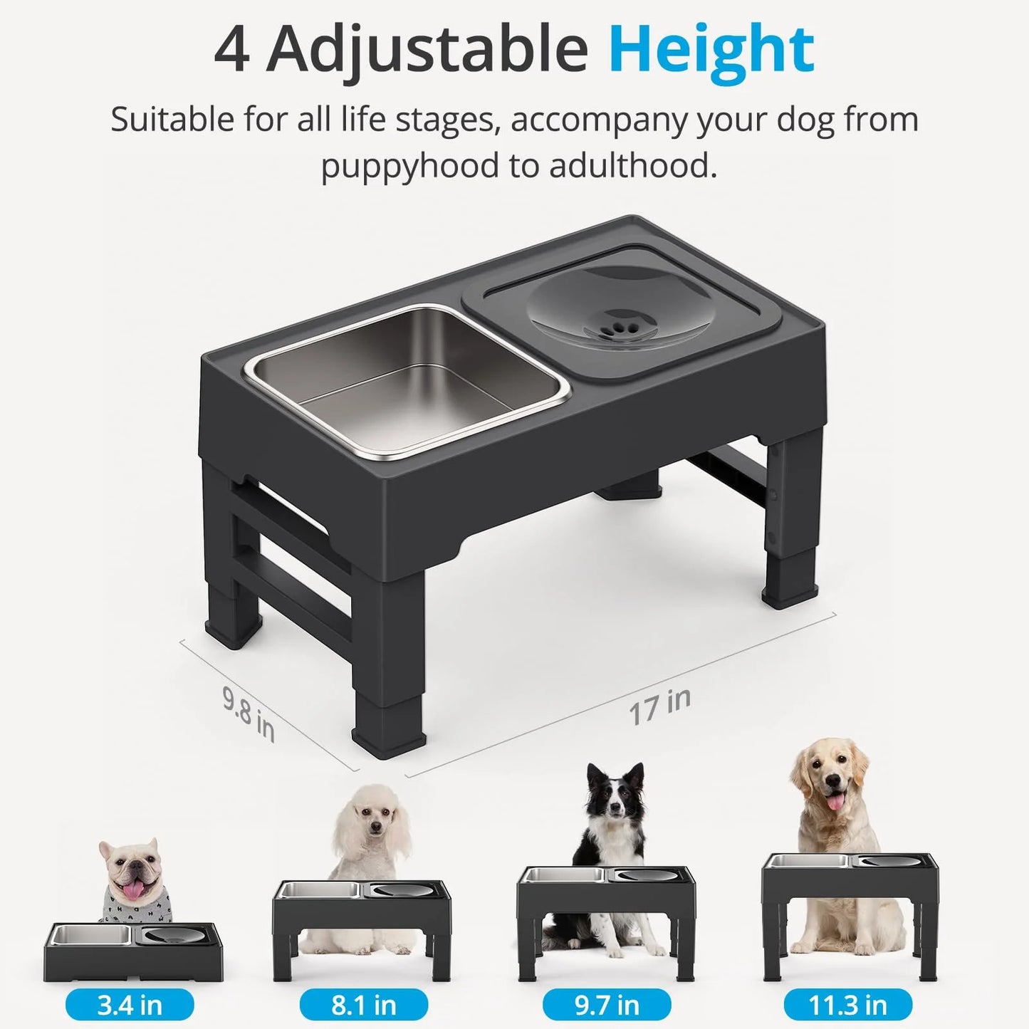 Elevated Mess-Free Dog Bowl – Stable Raised Feeding Bowl for Cleaner Mealtimes